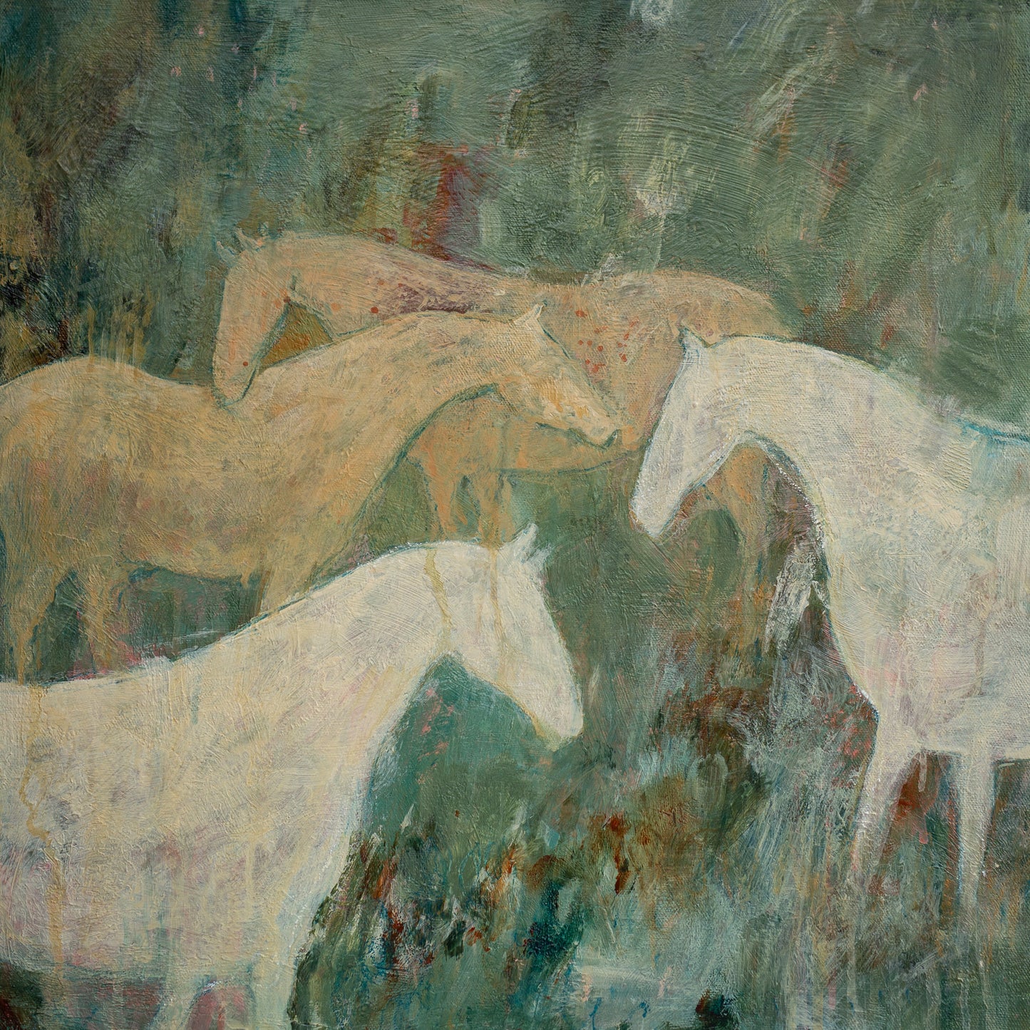 Peaceful Herd